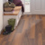 Entrance/Hallway with Van Gogh gluedown VGW41T | rigid core SCB41